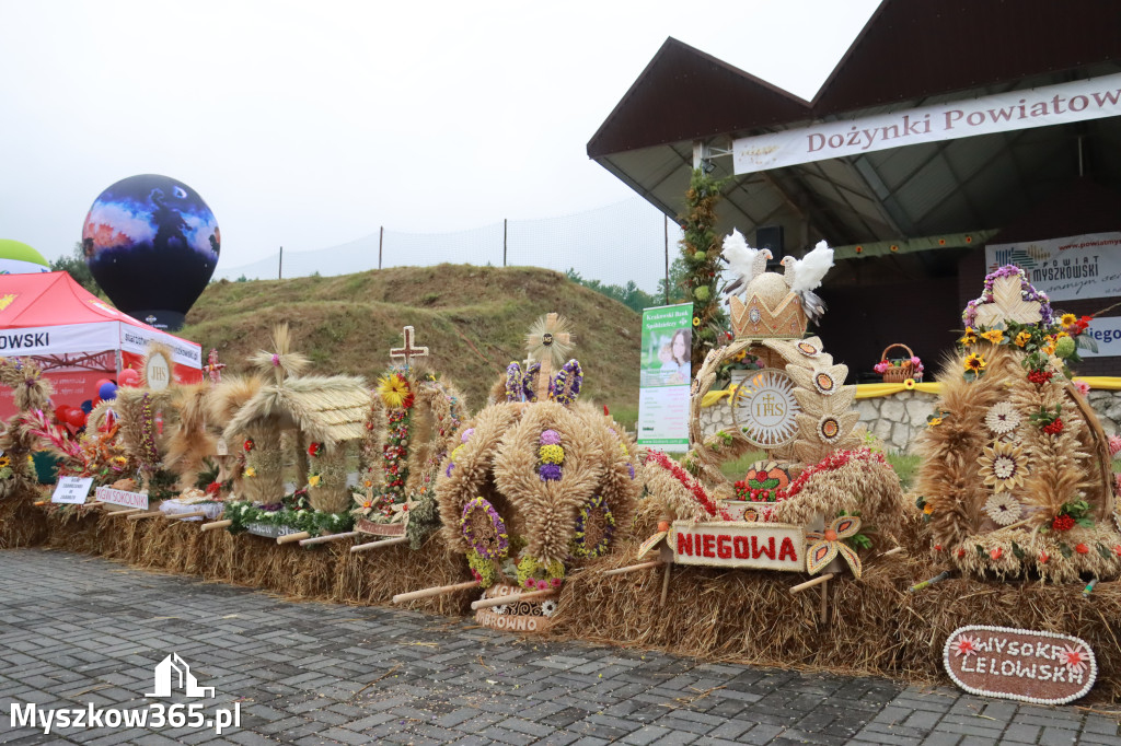 Fotorelacja III: Dożynki Powiatu Myszkowskiego w Niegowie