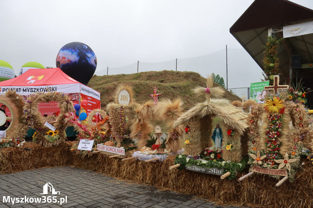 Fotorelacja III: Dożynki Powiatu Myszkowskiego w Niegowie