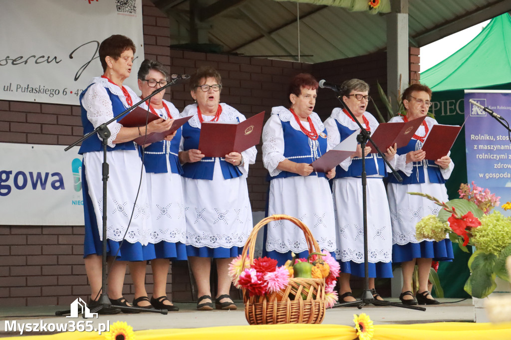 Fotorelacja III: Dożynki Powiatu Myszkowskiego w Niegowie