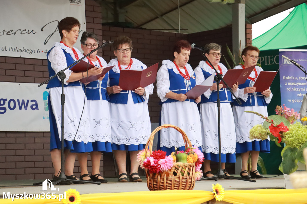 Fotorelacja III: Dożynki Powiatu Myszkowskiego w Niegowie