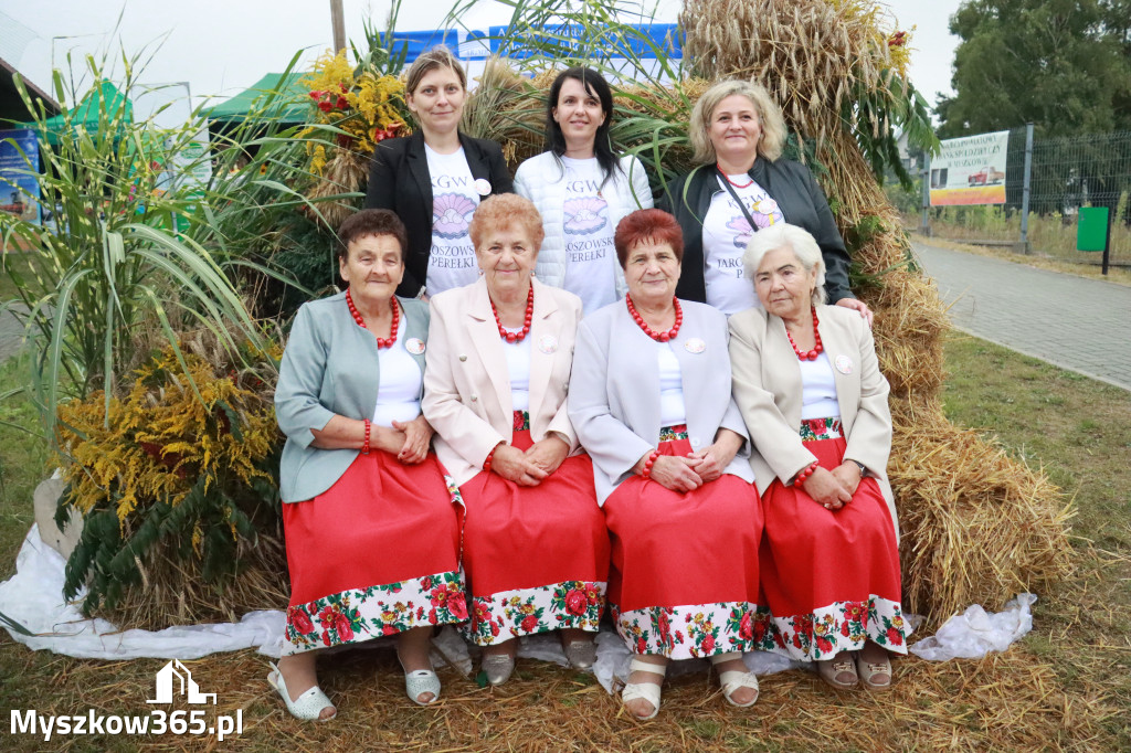 Fotorelacja III: Dożynki Powiatu Myszkowskiego w Niegowie