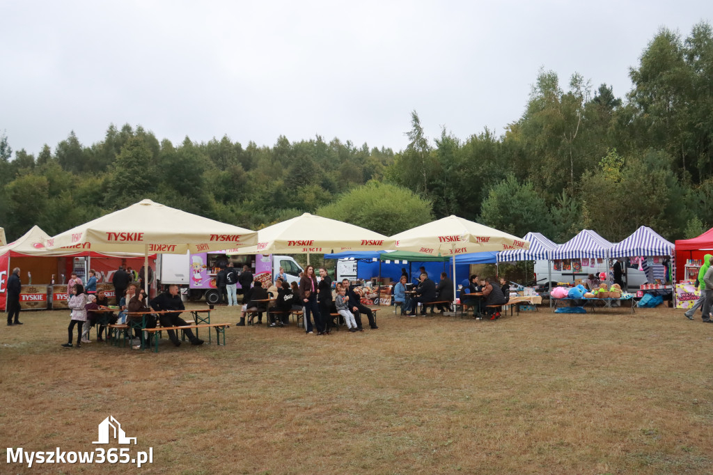 Fotorelacja III: Dożynki Powiatu Myszkowskiego w Niegowie