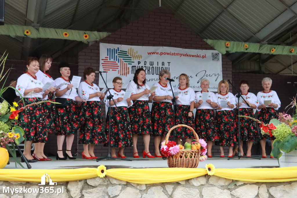 Fotorelacja III: Dożynki Powiatu Myszkowskiego w Niegowie