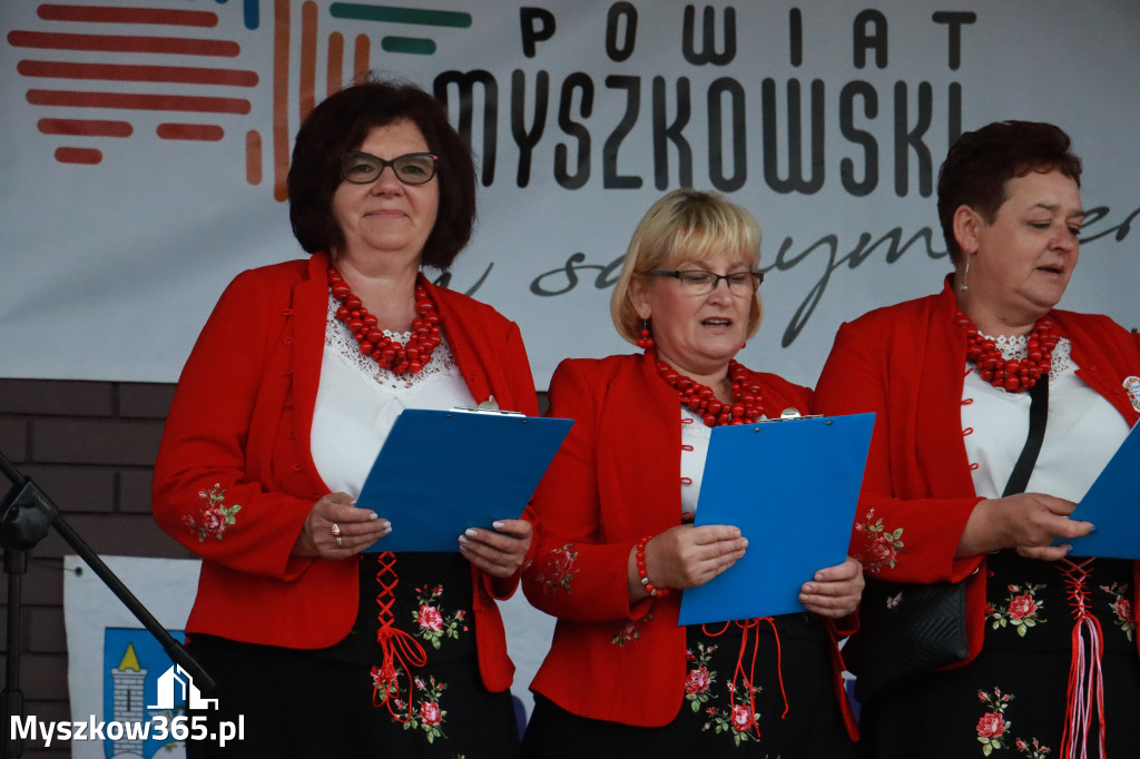 Fotorelacja III: Dożynki Powiatu Myszkowskiego w Niegowie