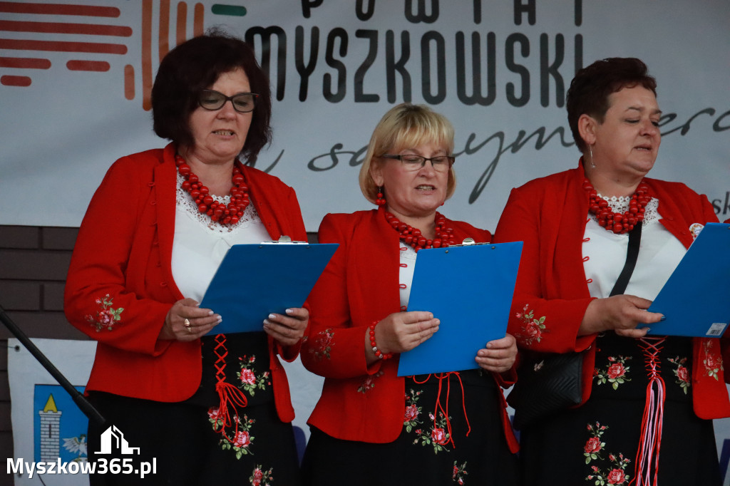 Fotorelacja III: Dożynki Powiatu Myszkowskiego w Niegowie