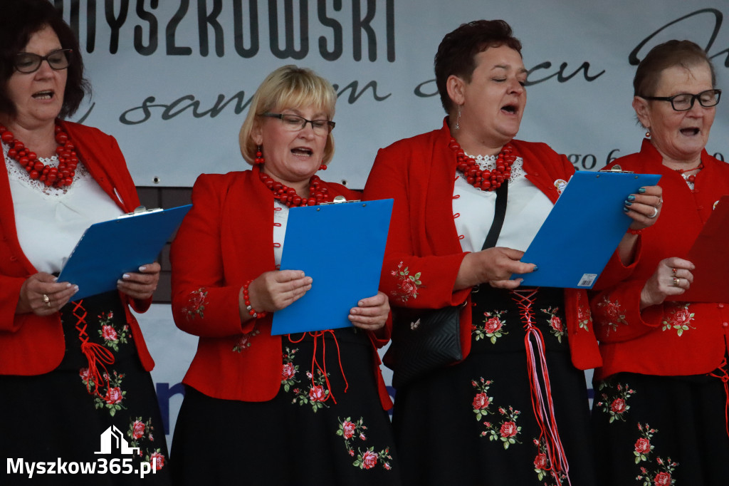 Fotorelacja III: Dożynki Powiatu Myszkowskiego w Niegowie
