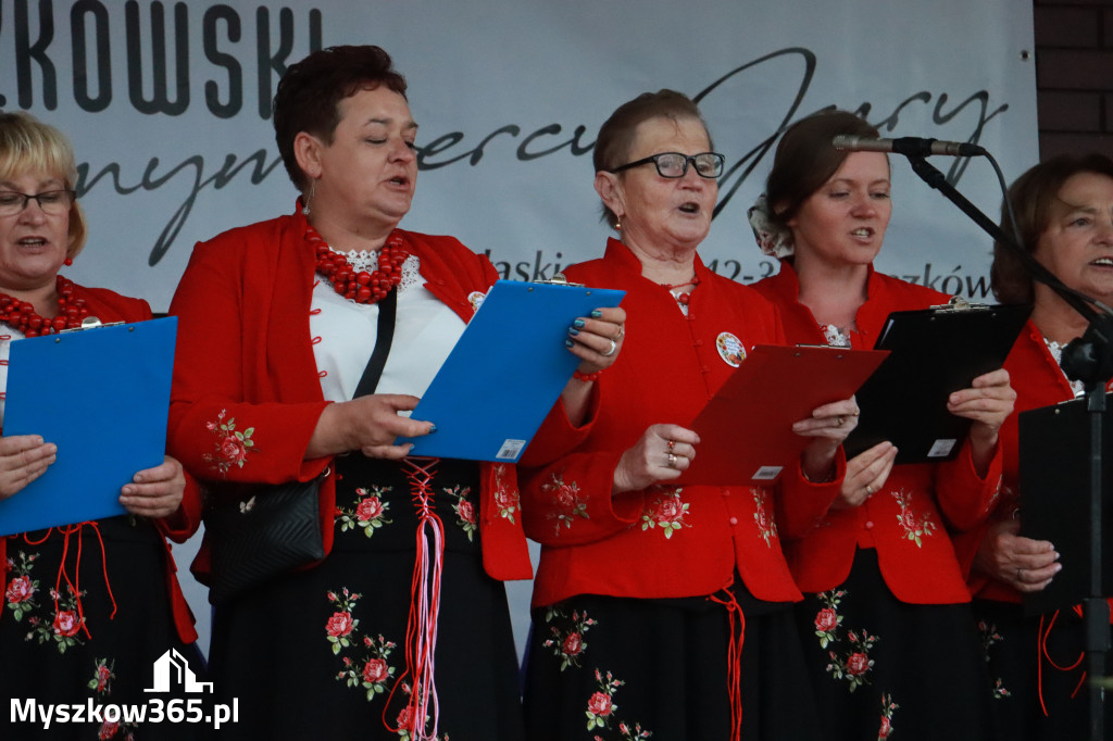 Fotorelacja III: Dożynki Powiatu Myszkowskiego w Niegowie