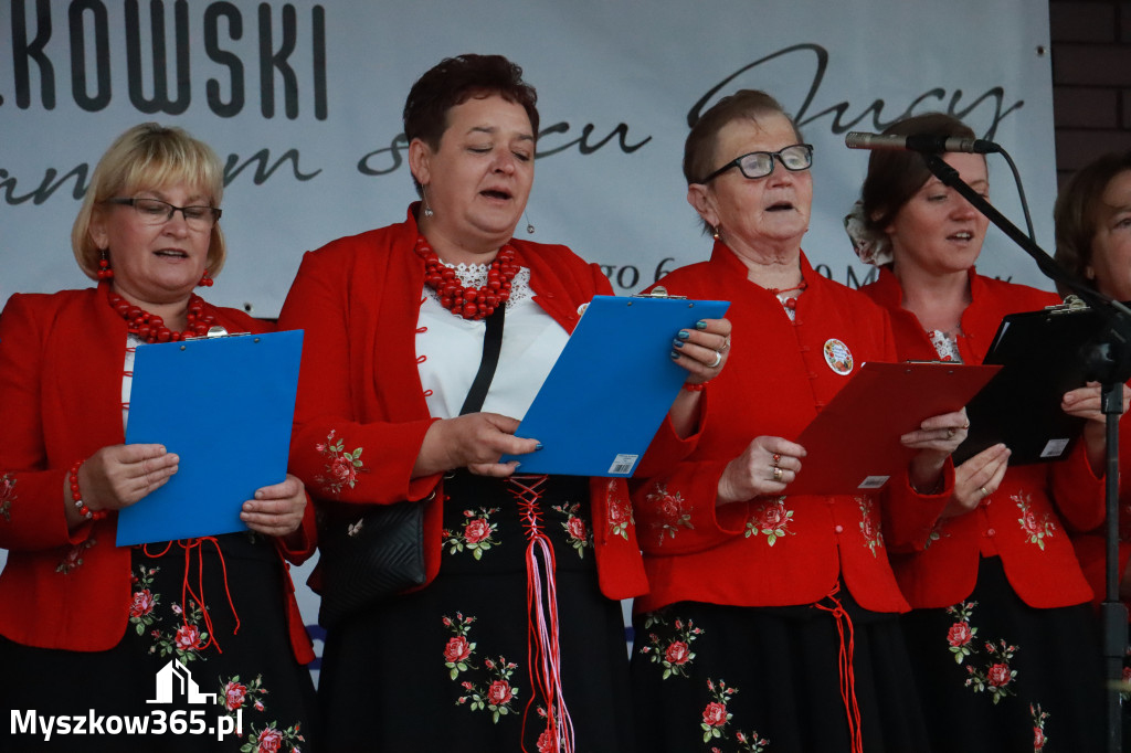 Fotorelacja III: Dożynki Powiatu Myszkowskiego w Niegowie