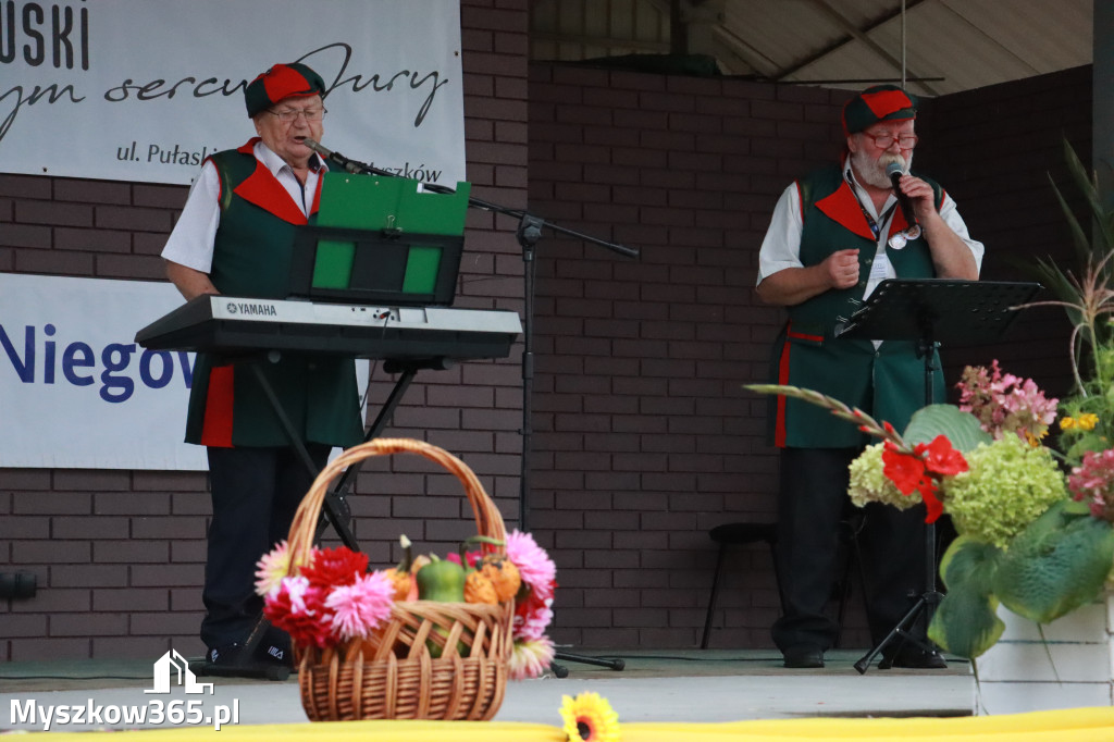 Fotorelacja III: Dożynki Powiatu Myszkowskiego w Niegowie