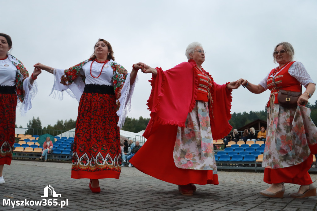 Fotorelacja III: Dożynki Powiatu Myszkowskiego w Niegowie