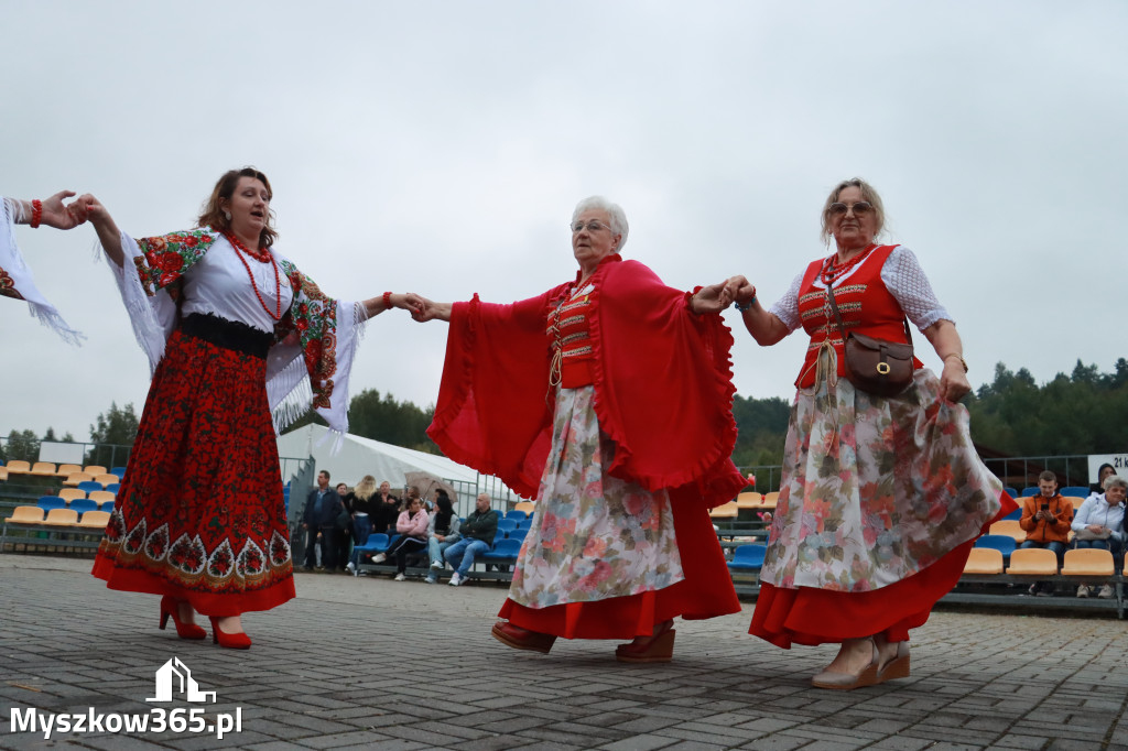 Fotorelacja III: Dożynki Powiatu Myszkowskiego w Niegowie