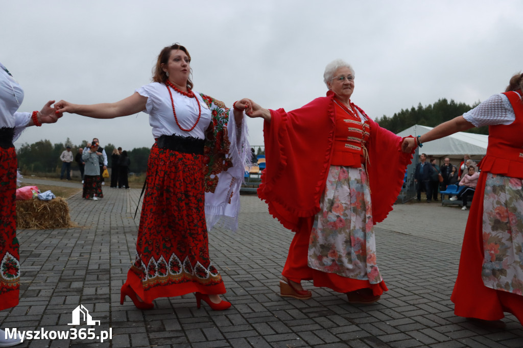 Fotorelacja III: Dożynki Powiatu Myszkowskiego w Niegowie