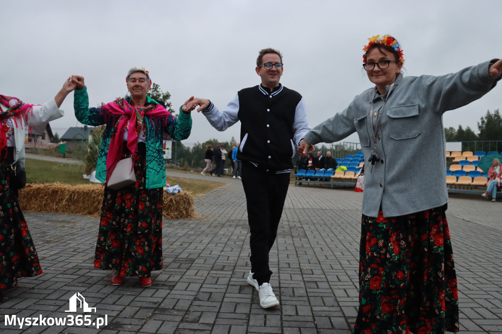 Fotorelacja III: Dożynki Powiatu Myszkowskiego w Niegowie