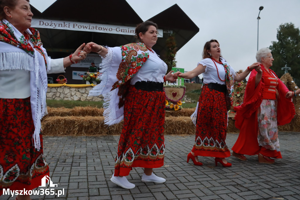 Fotorelacja III: Dożynki Powiatu Myszkowskiego w Niegowie
