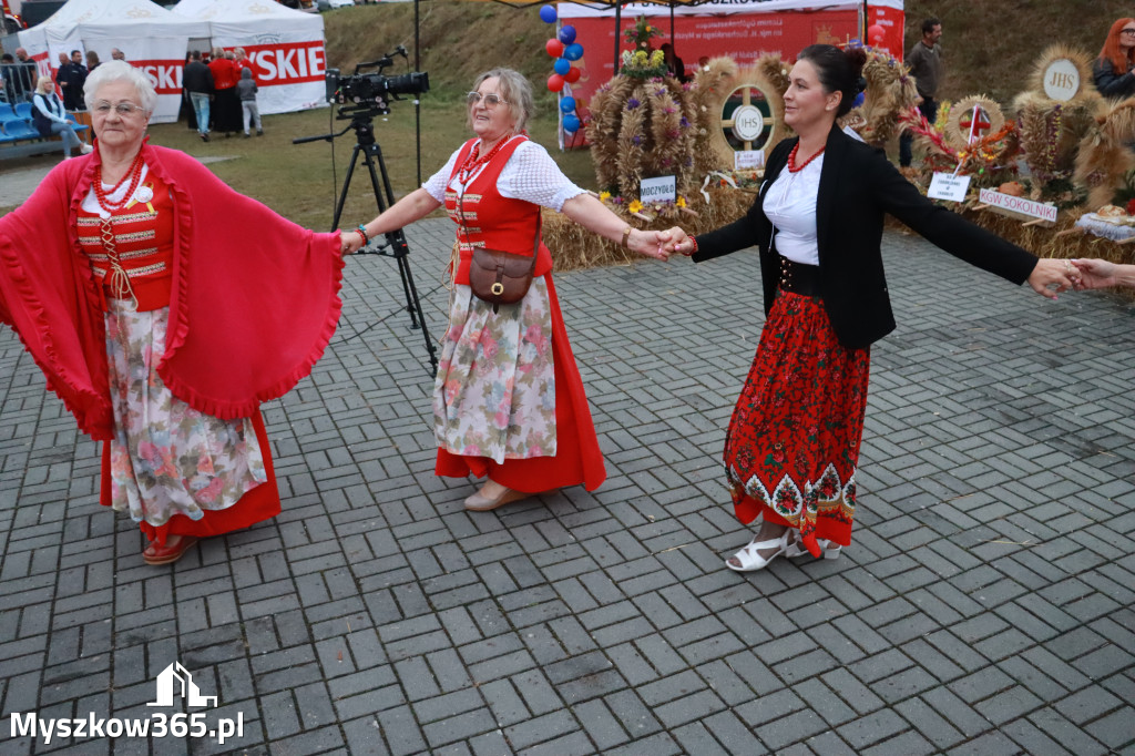 Fotorelacja III: Dożynki Powiatu Myszkowskiego w Niegowie