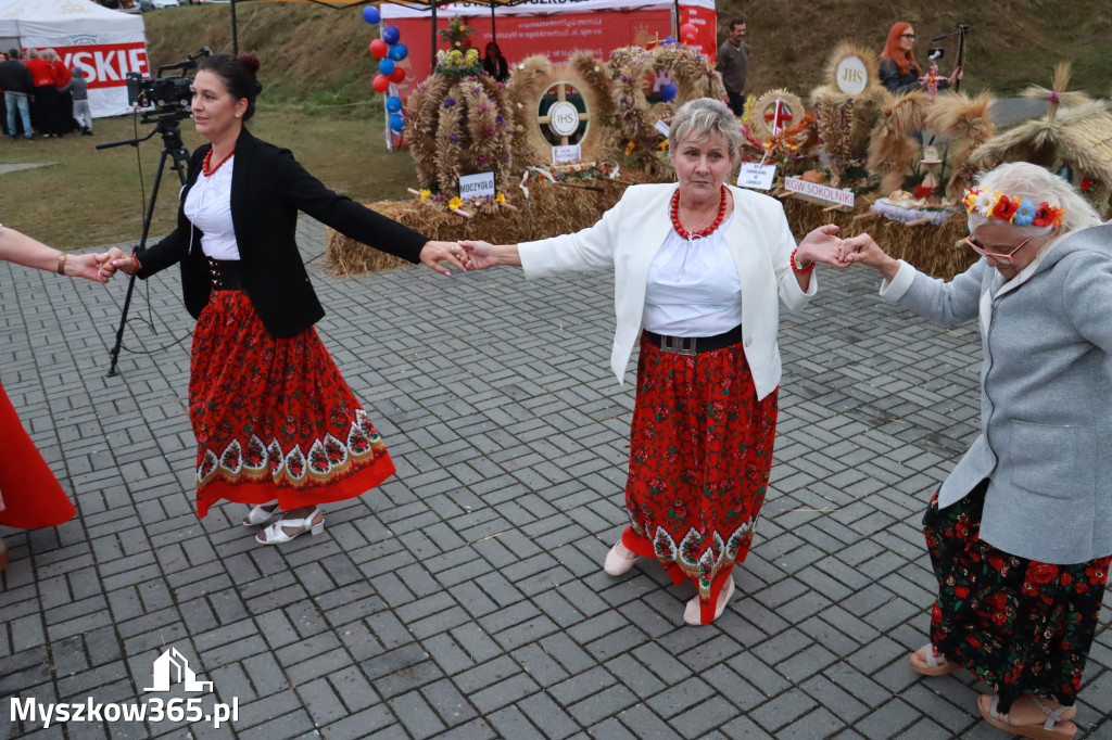 Fotorelacja III: Dożynki Powiatu Myszkowskiego w Niegowie