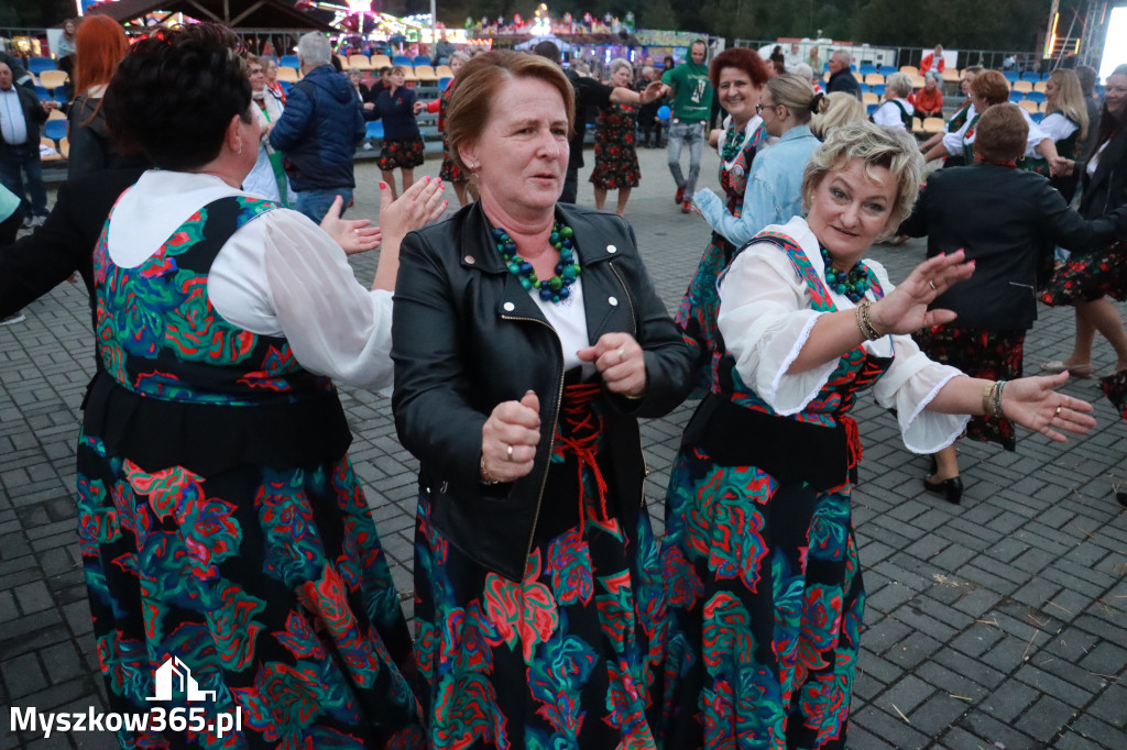 Fotorelacja III: Dożynki Powiatu Myszkowskiego w Niegowie