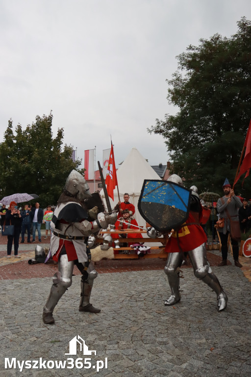 Fotorelacja: Uroczystość Odsłonięcia Pomnika Krystyna I z Koziegłów herbu Lis.