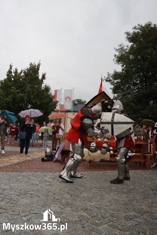 Fotorelacja: Uroczystość Odsłonięcia Pomnika Krystyna I z Koziegłów herbu Lis.