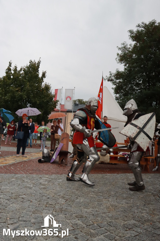 Fotorelacja: Uroczystość Odsłonięcia Pomnika Krystyna I z Koziegłów herbu Lis.