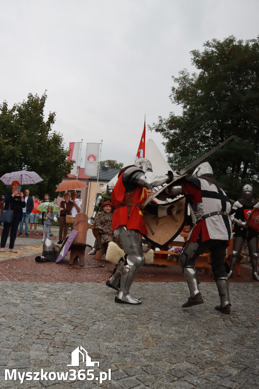 Fotorelacja: Uroczystość Odsłonięcia Pomnika Krystyna I z Koziegłów herbu Lis.