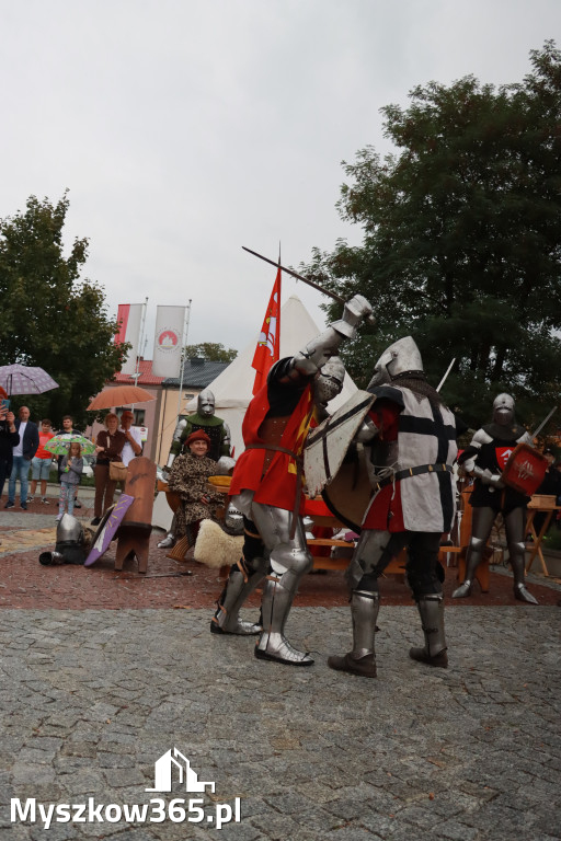 Fotorelacja: Uroczystość Odsłonięcia Pomnika Krystyna I z Koziegłów herbu Lis.