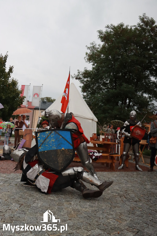 Fotorelacja: Uroczystość Odsłonięcia Pomnika Krystyna I z Koziegłów herbu Lis.