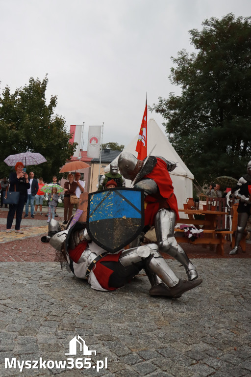 Fotorelacja: Uroczystość Odsłonięcia Pomnika Krystyna I z Koziegłów herbu Lis.