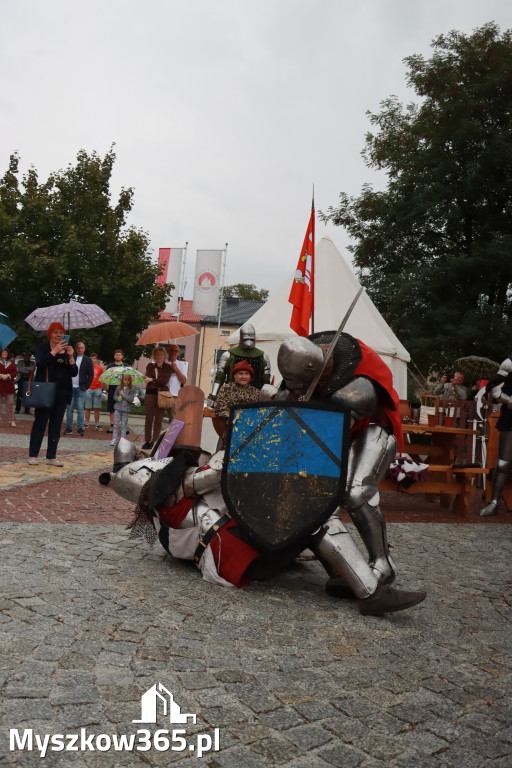 Fotorelacja: Uroczystość Odsłonięcia Pomnika Krystyna I z Koziegłów herbu Lis.