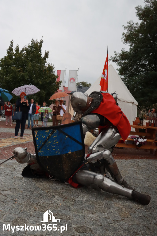 Fotorelacja: Uroczystość Odsłonięcia Pomnika Krystyna I z Koziegłów herbu Lis.