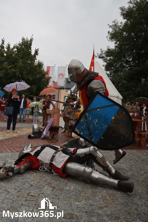 Fotorelacja: Uroczystość Odsłonięcia Pomnika Krystyna I z Koziegłów herbu Lis.