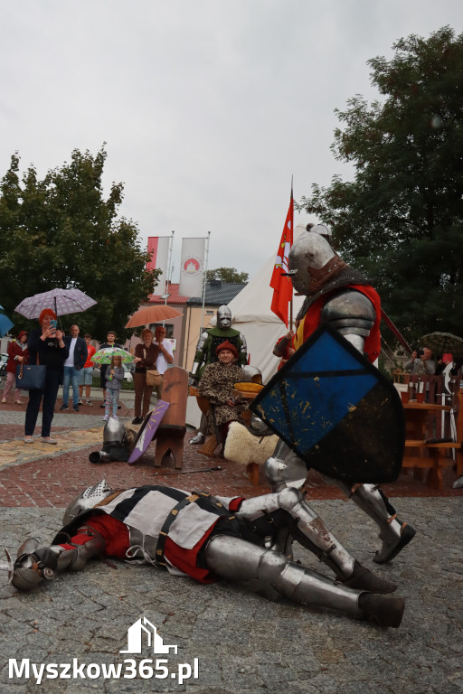 Fotorelacja: Uroczystość Odsłonięcia Pomnika Krystyna I z Koziegłów herbu Lis.