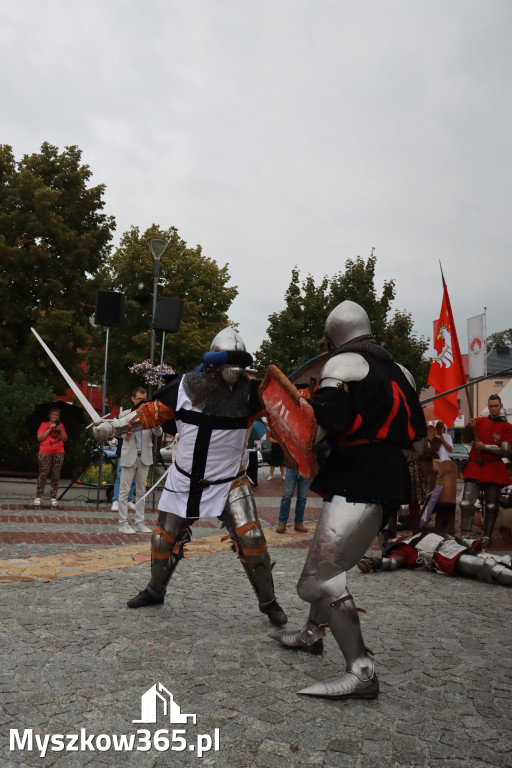 Fotorelacja: Uroczystość Odsłonięcia Pomnika Krystyna I z Koziegłów herbu Lis.