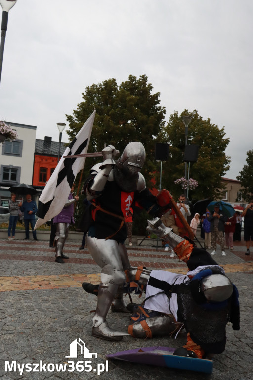 Fotorelacja: Uroczystość Odsłonięcia Pomnika Krystyna I z Koziegłów herbu Lis.