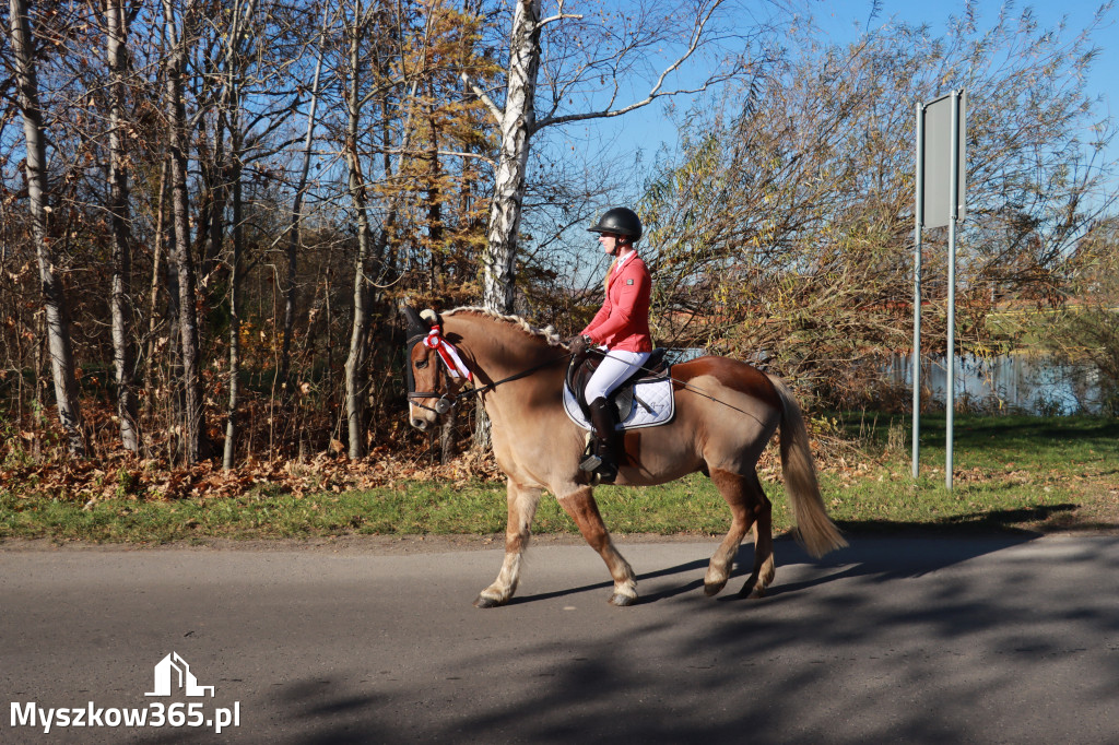 Fotorelacja I: Obchody 107. ROCZNICY ODZYSKANIA NIEPODLEGŁOŚCI na rynku w Koziegłowach
