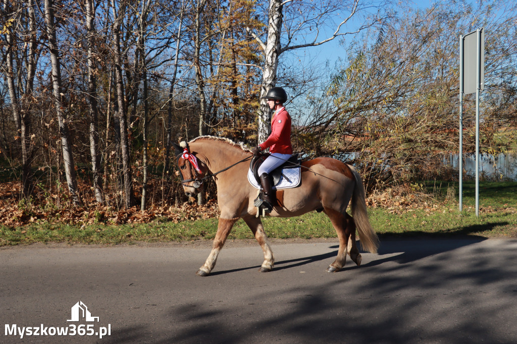 Fotorelacja I: Obchody 107. ROCZNICY ODZYSKANIA NIEPODLEGŁOŚCI na rynku w Koziegłowach