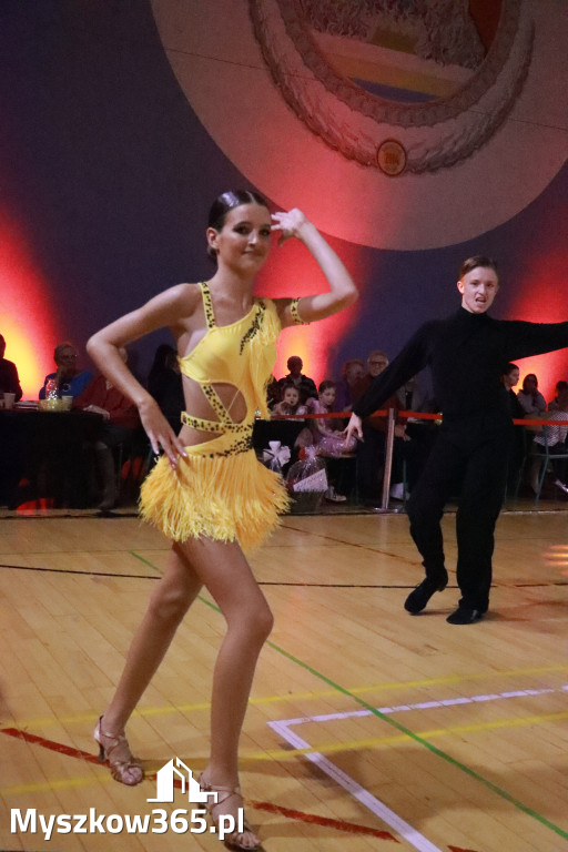 Fotorelacja VII: Otwarte Mistrzostwa Jury Krakowsko-Częstochowskiej w Koziegłowach