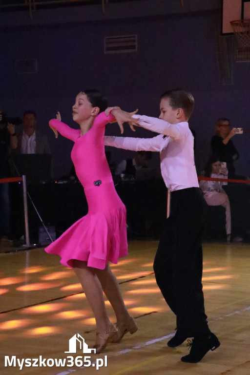 Fotorelacja VII: Otwarte Mistrzostwa Jury Krakowsko-Częstochowskiej w Koziegłowach