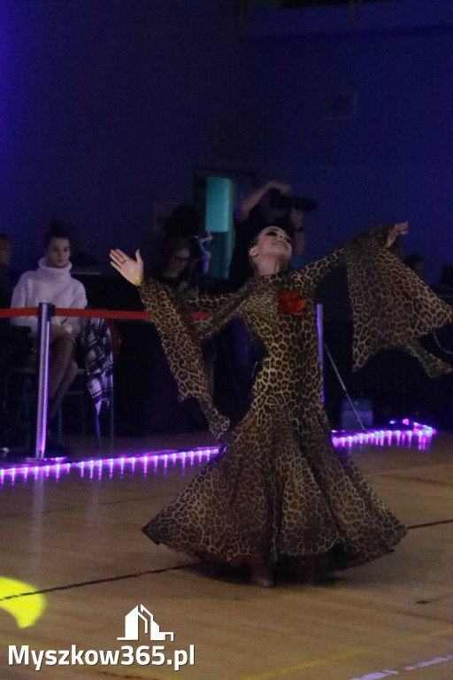 Fotorelacja VII: Otwarte Mistrzostwa Jury Krakowsko-Częstochowskiej w Koziegłowach