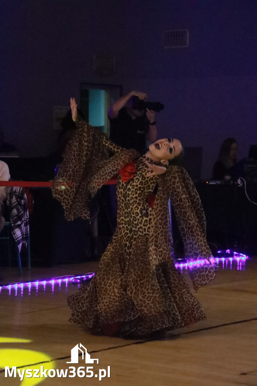 Fotorelacja VII: Otwarte Mistrzostwa Jury Krakowsko-Częstochowskiej w Koziegłowach