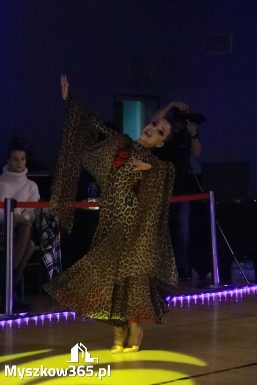 Fotorelacja VII: Otwarte Mistrzostwa Jury Krakowsko-Częstochowskiej w Koziegłowach