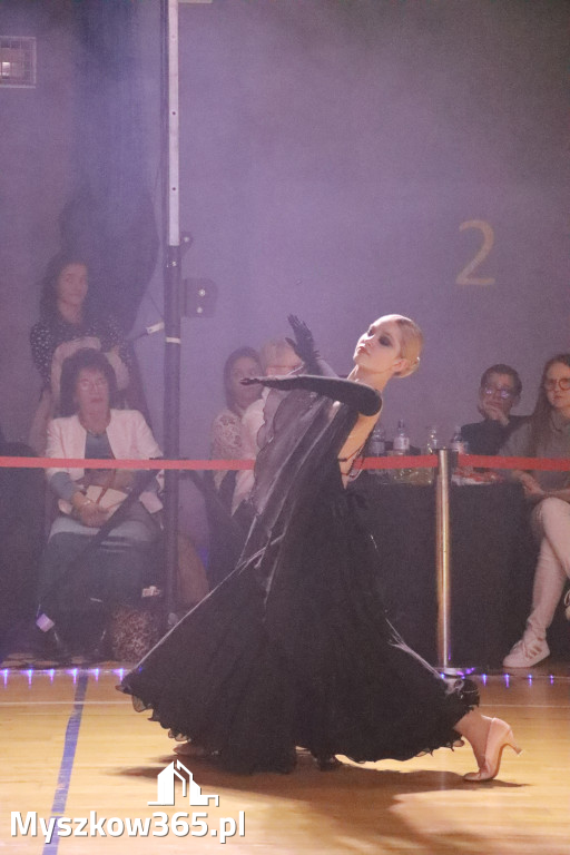 Fotorelacja VII: Otwarte Mistrzostwa Jury Krakowsko-Częstochowskiej w Koziegłowach