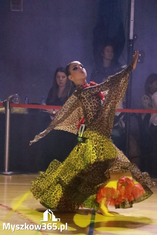 Fotorelacja VII: Otwarte Mistrzostwa Jury Krakowsko-Częstochowskiej w Koziegłowach