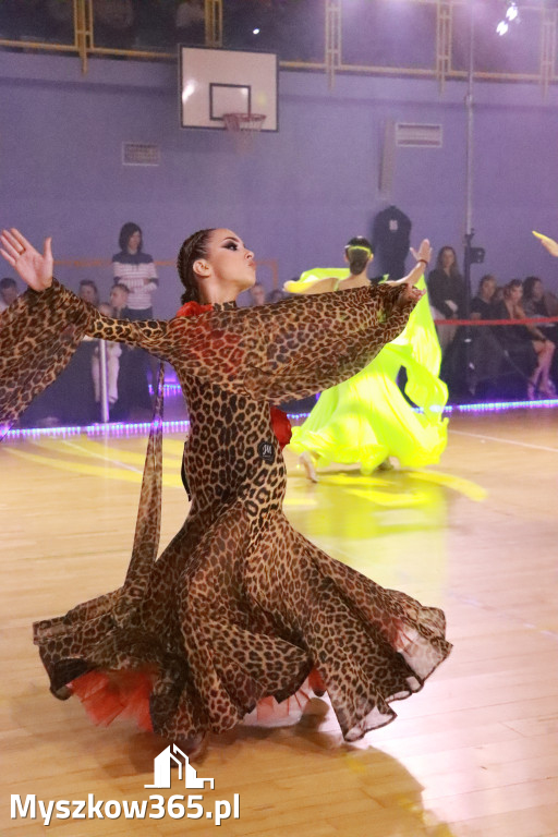 Fotorelacja VII: Otwarte Mistrzostwa Jury Krakowsko-Częstochowskiej w Koziegłowach