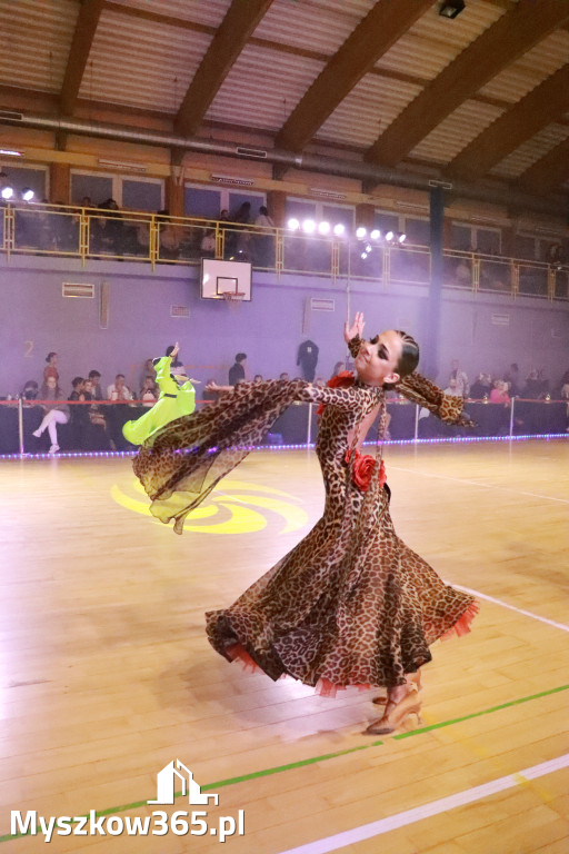 Fotorelacja VII: Otwarte Mistrzostwa Jury Krakowsko-Częstochowskiej w Koziegłowach