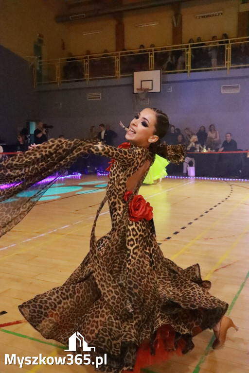 Fotorelacja VII: Otwarte Mistrzostwa Jury Krakowsko-Częstochowskiej w Koziegłowach