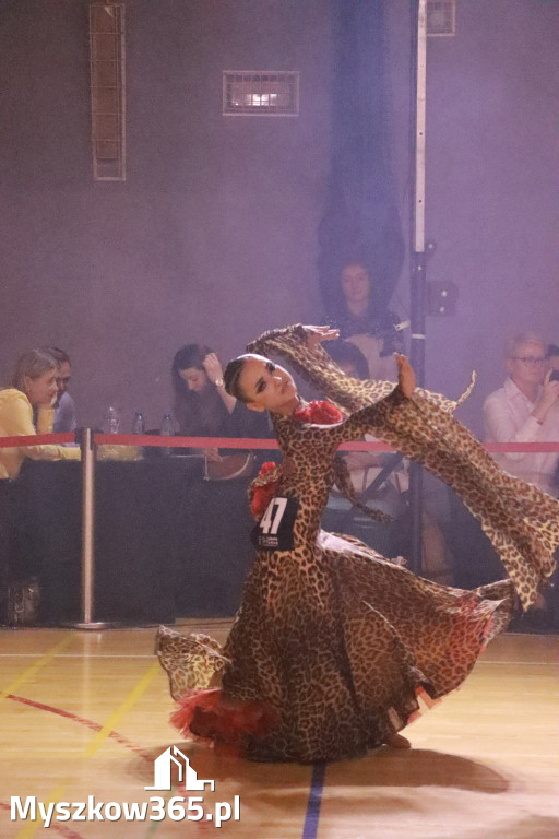 Fotorelacja VII: Otwarte Mistrzostwa Jury Krakowsko-Częstochowskiej w Koziegłowach