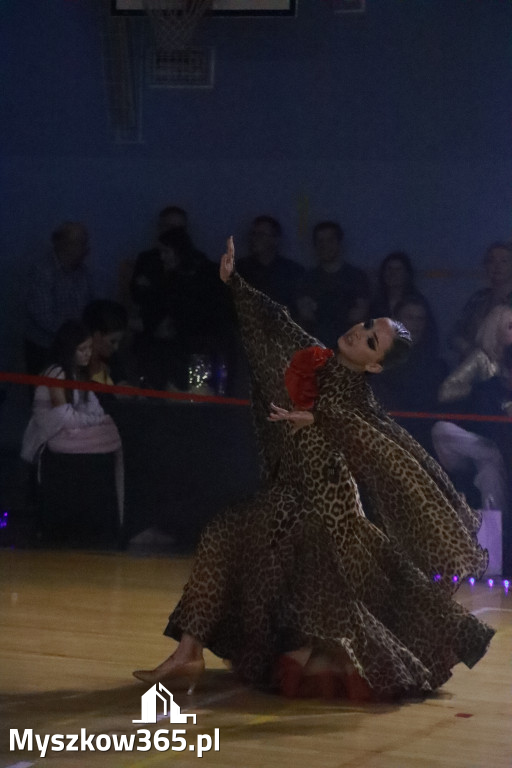 Fotorelacja VII: Otwarte Mistrzostwa Jury Krakowsko-Częstochowskiej w Koziegłowach