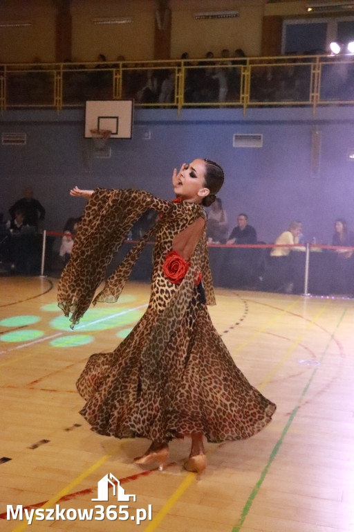 Fotorelacja VII: Otwarte Mistrzostwa Jury Krakowsko-Częstochowskiej w Koziegłowach