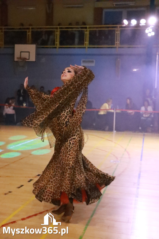 Fotorelacja VII: Otwarte Mistrzostwa Jury Krakowsko-Częstochowskiej w Koziegłowach